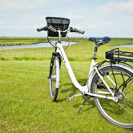 Guest house & Hilligenley - Auf Der Hallig 3*