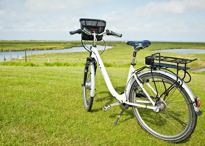 بيت ضيافة & Hilligenley - Auf Der Hallig 3*